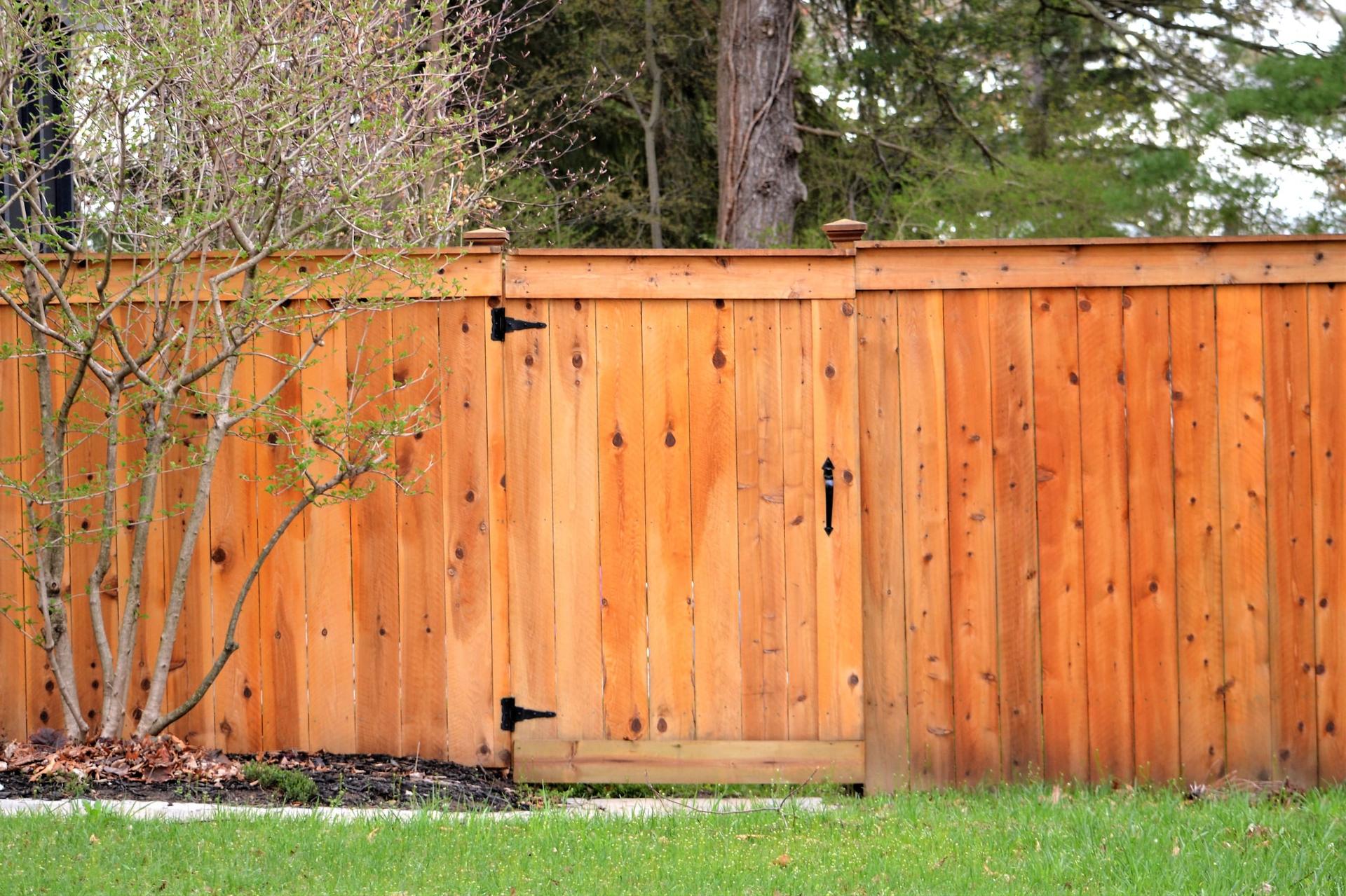 A newly stained cedar board fence with a matching gate and metal latch, running along a mown lawn in front of trees.