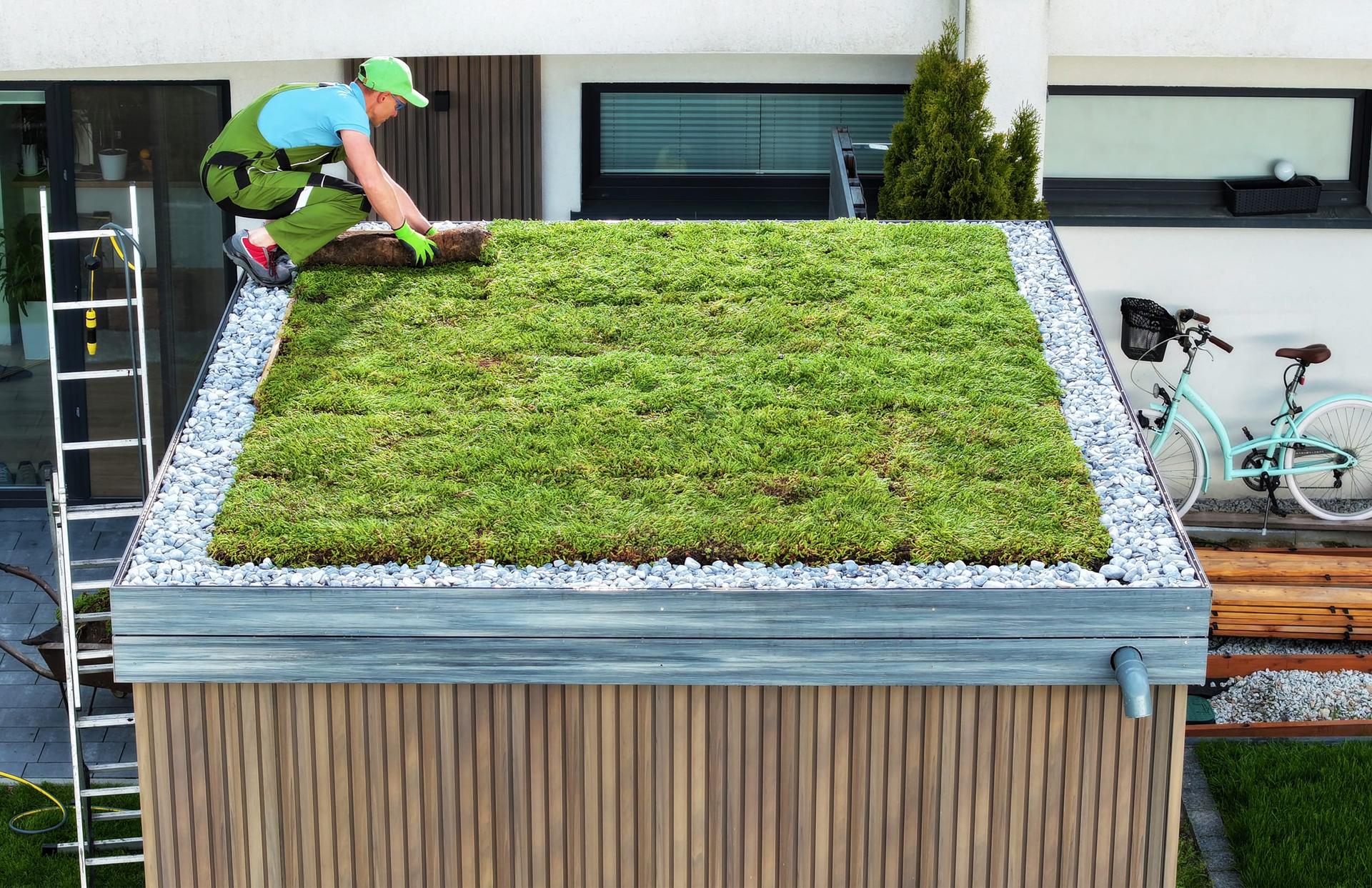 A landscaper laying sedum matting on a green roof