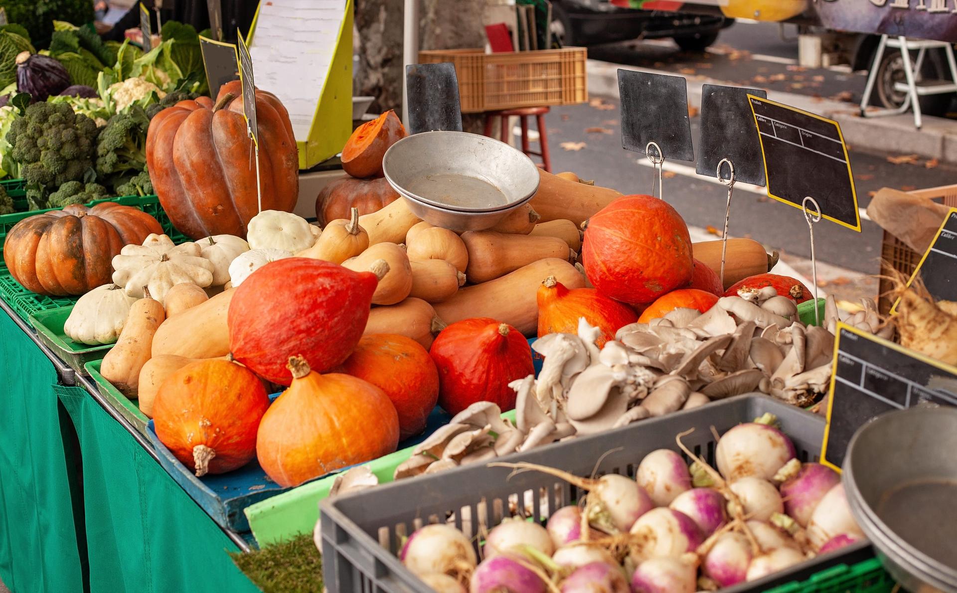 An outdoor market stall piled with squash, pumpkins, oyster mushrooms and crates of turnips.