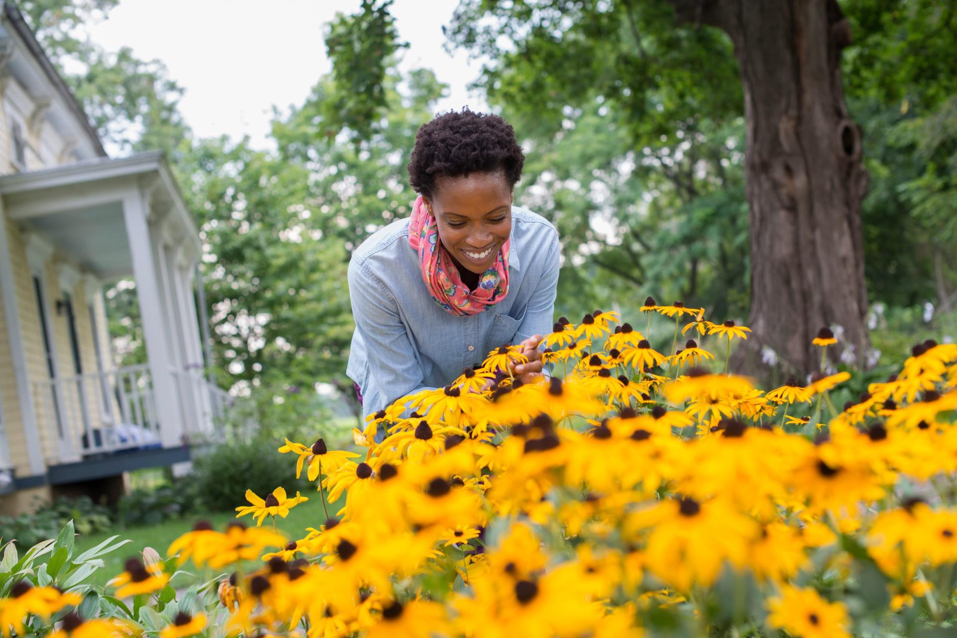A smiling woman in a denim shirt and floral scarf leans over a dense bed of yellow black-eyed Susan flowers in a home garden, with a pale yellow house with a white porch and a large tree behind her
