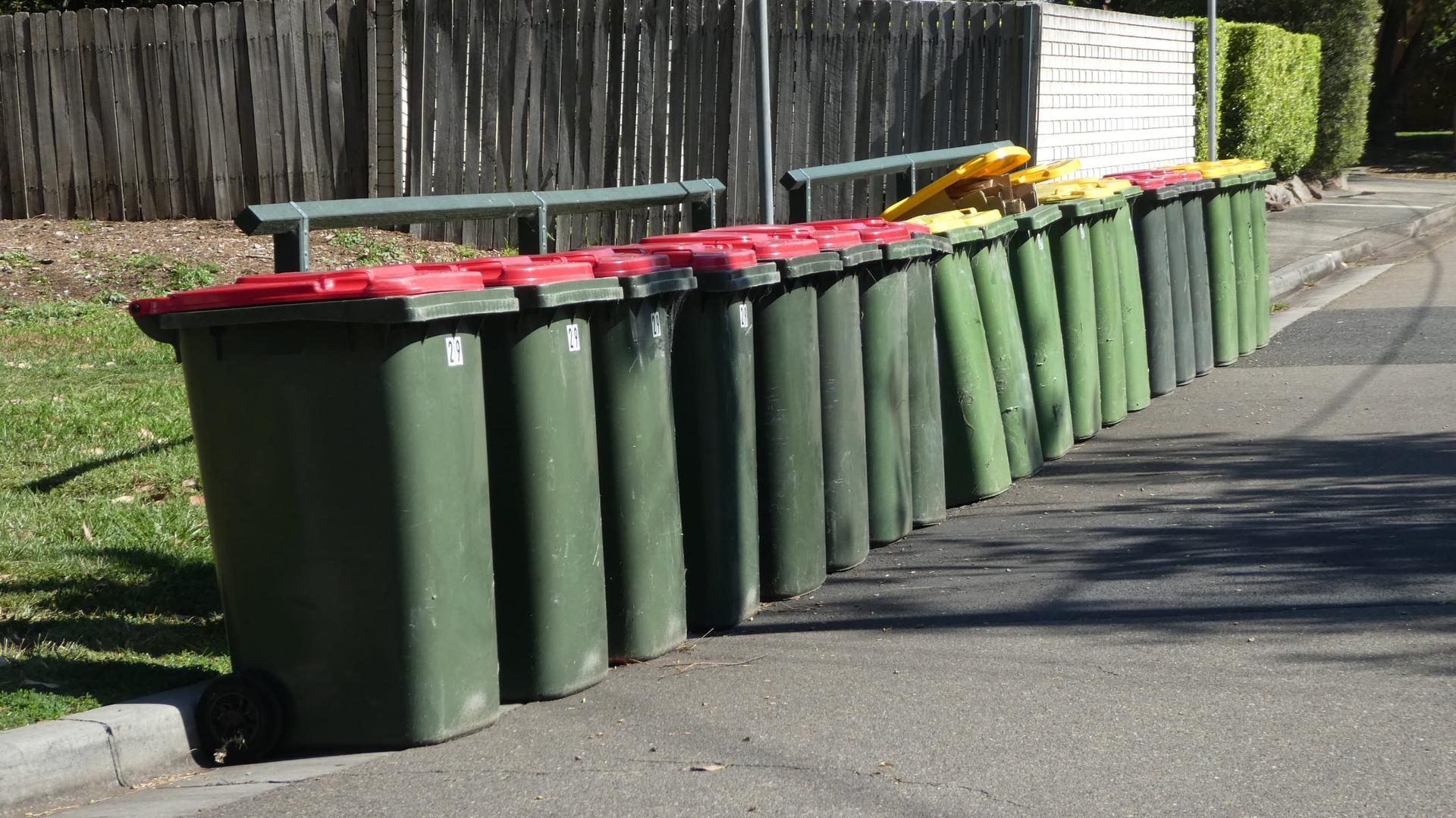 A row of wheeled plastic bins stands at the edge of a residential street waiting to be collected.