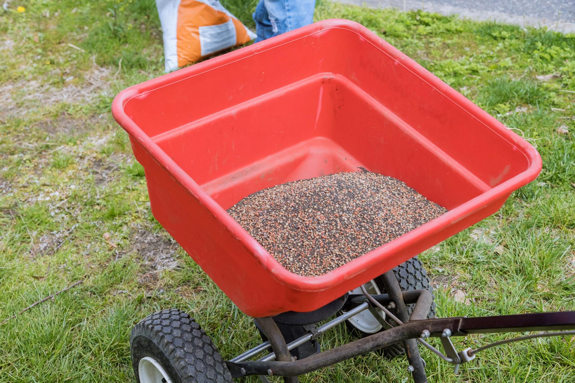 A red wheeled lawn spreader part-filled with grass seed stands on a patchy lawn, with a person in jeans and a bag of seed behind it.