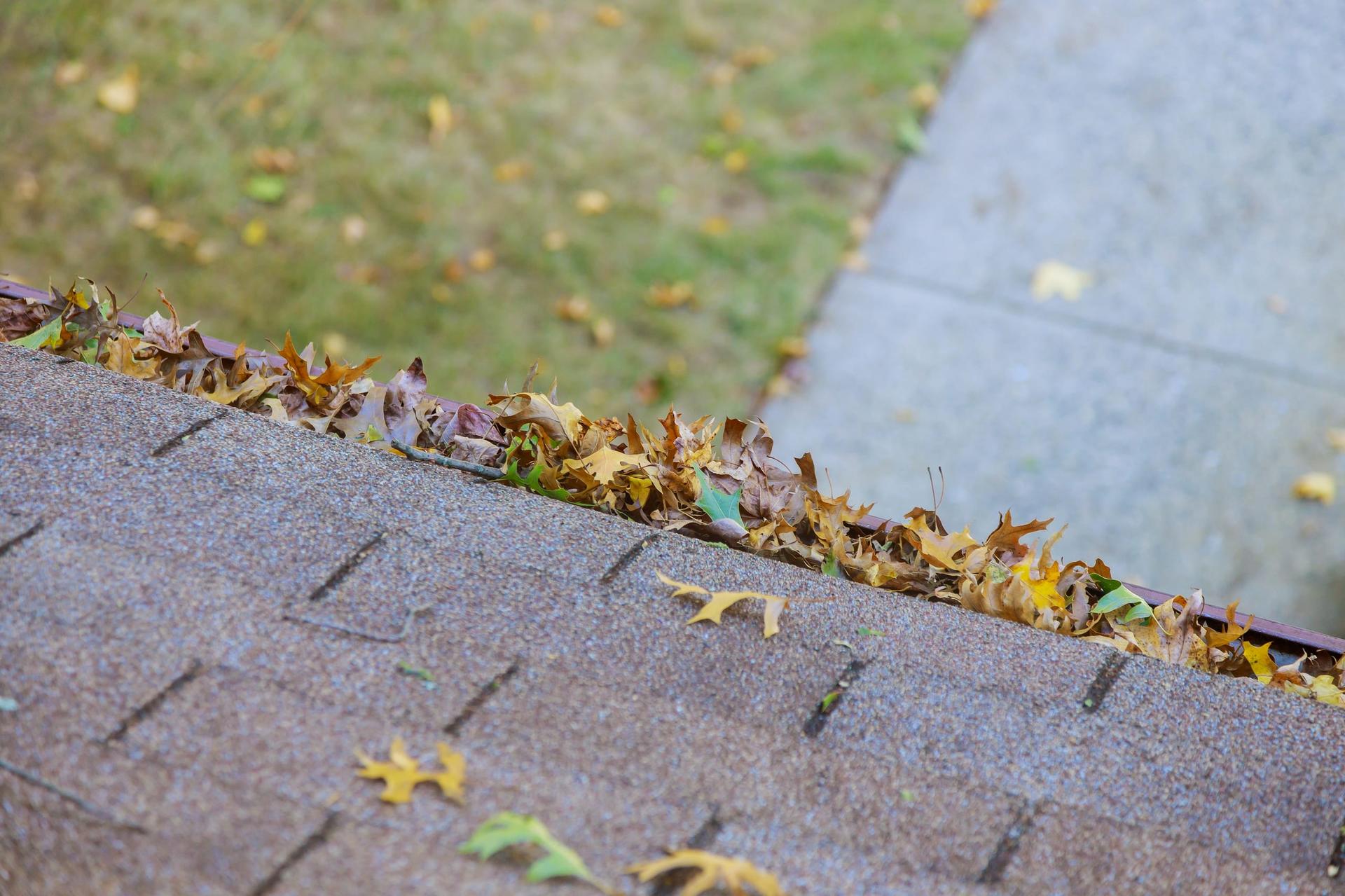 A roof gutter filled with fallen autumn leaves